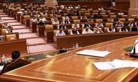 PA Commemorates One Year Of Victory In Marka-e-Haq