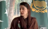 Maryam Okays Apna Khhet, Apna Rozgar Scheme, Fuel Subsidy