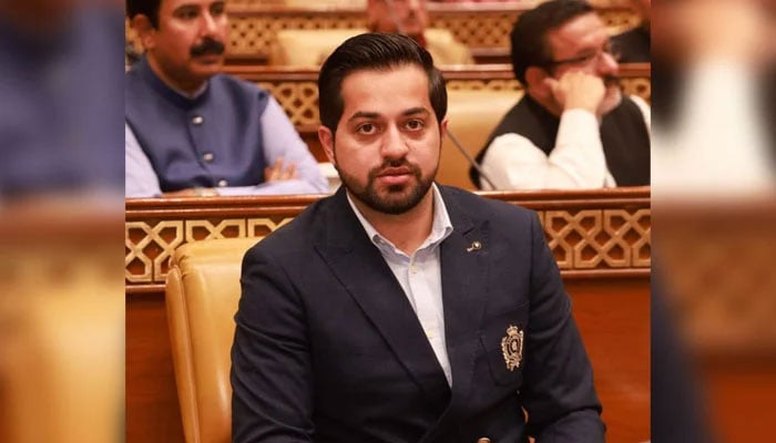 Parliamentary Secretary for Housing, Punjab Sultan Tariq Bajwa looks on, the image released on March 29, 2024. — Facebook@Sultan Tariq Bajwa