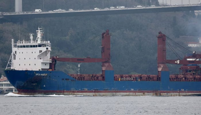 The Russian cargo ship is sailing from St Petersburg to Vladivostok. —Reuters/File