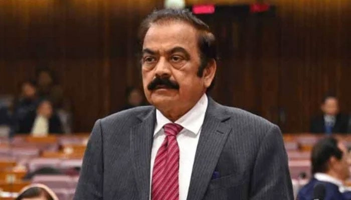Adviser to the Prime Minister on Political Affairs Rana Sanaullah speaks in the National Assembly session on December 17, 2024. — X/@NAofPakistan
