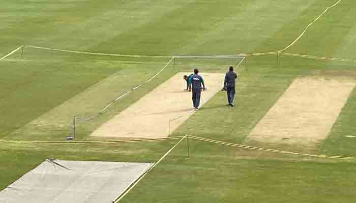 A representational image of a cricket pitch. — Arfa Feroz Zake/File