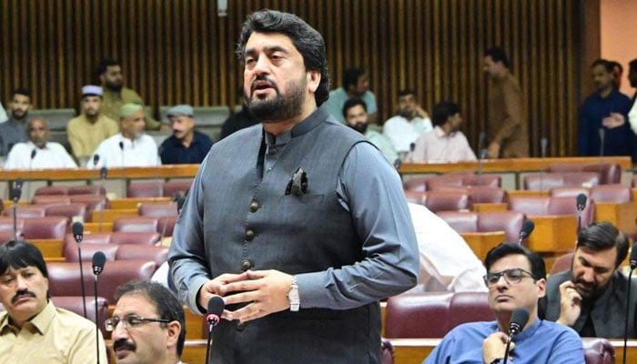 Opposition members in the National Assembly, Pakistan Tehreek-e-Insaf (PTI)-supported parliamentarian Shehryar Afridi, addressing the NA. —Facebook@shehryarkhanafridi1/File