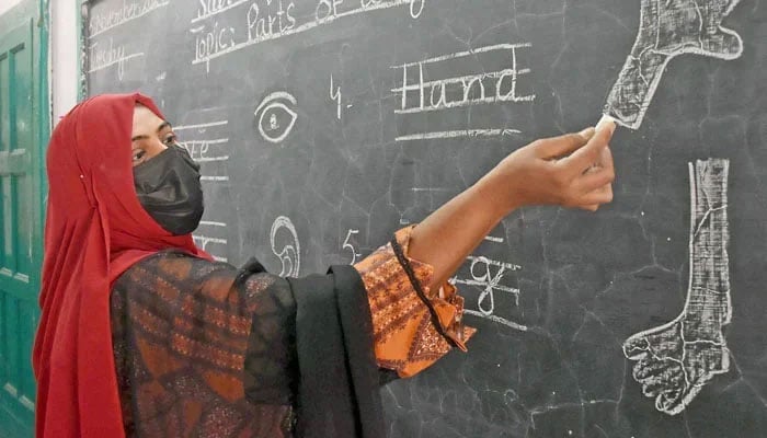 This representational image shows a teacher giving a lesson in a classroom on November 5, 2024. — Online