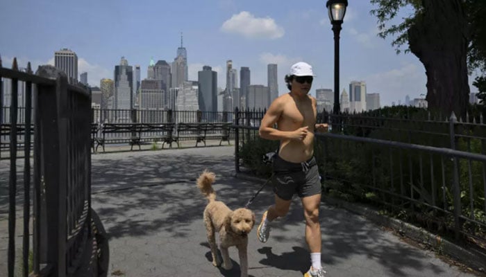 The representational image shows a man jogging with a dog in New York City. — Reuters/File