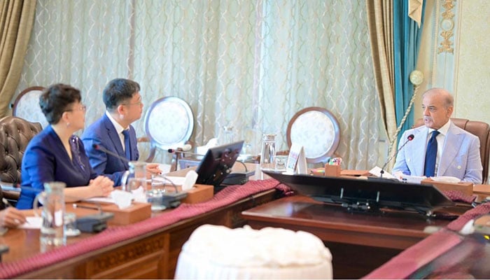 Prime Minister Shehbaz Sharif is in a meeting with a Chinese business delegation of IBI Beijing United Technology on May 15, 2026. — PID