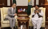 US Diplomat Hails Pak Efforts For Regional Peace