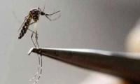 Efforts Launched In Upper Kohistan To Contain Dengue Outbreak