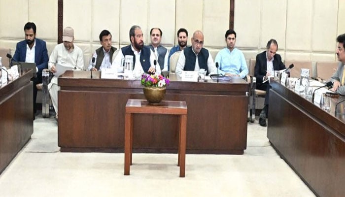 Senator Hidayatullah Khan chairs the Senate Standing Committee on National Heritage and Culture meeting at the Parliament House on May 18, 2026. —  Facebook@Pakistansenate