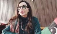 Sherry Condemns ‘institutionalised Abuse’  In Rehabilitation Centres