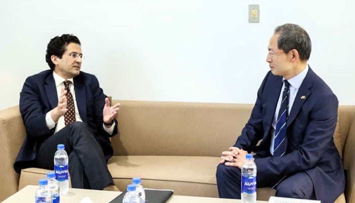 Minister for Petroleum Ali Pervaiz Malik and Japanese Ambassador Akamatsu Shuichi meeting in Islamabad.—Radio Pakistan