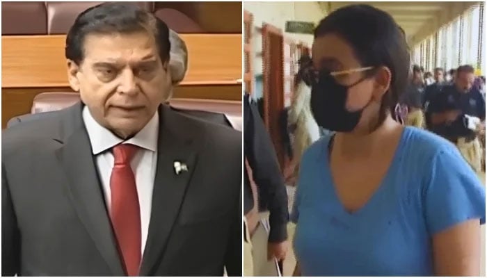 Former prime minister Raja Pervaiz Ashraf (left) addresses the National Assembly and alleged drug queenpin Anmol alias Pinky. — X/@NaofPakistan/GeoNews/File