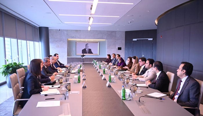 Punjab Chief Minister Maryam Nawaz Sharif in a meeting with Azerbaijan’s Economy Minister Mikayil Jabbarov, May 20, 2026. —APP