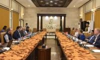 Punjab, Denmark Agree To Enhance Cooperation In Green Initiatives