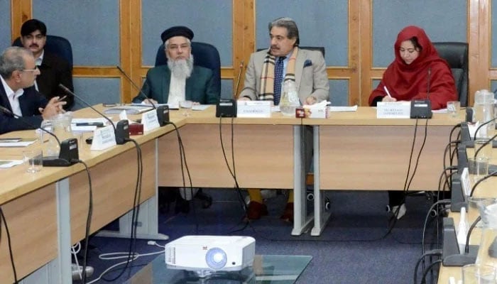 Senator Nasir Mahmood, Chairman Senate Standing Committee on Housing and Works, presiding over a meeting of the committee at Parliament Lodges Islamabad, January 1, 2026. — Senate of Pakistan