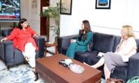 US Seeks Long-term Cooperation To Link Pakistan's Mining Sector