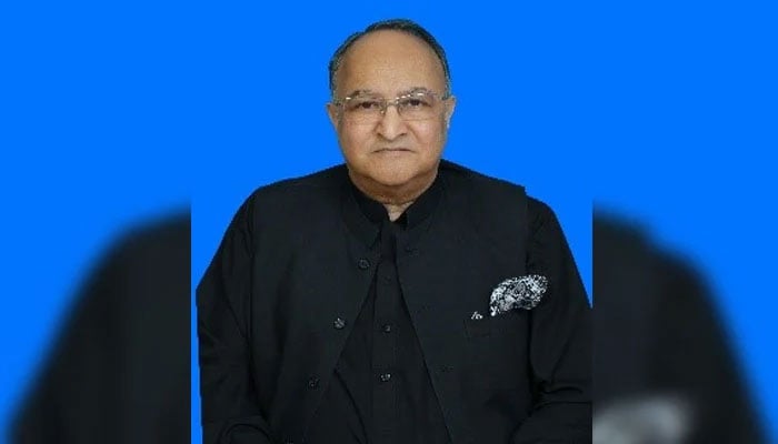 Senator Sarmad Ali. — APP/File