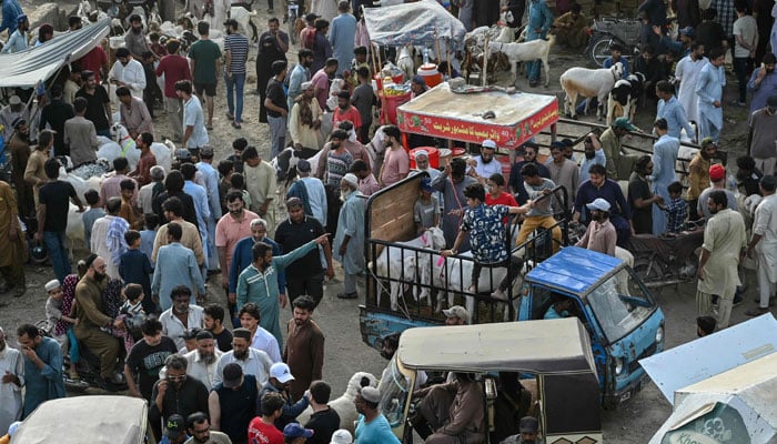People gather at a livestock market ahead of the Muslim festival of Eid al-Adha in Karachi on May 24, 2026. — AFP