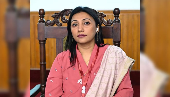 Dawood University of Engineering and Technology (DUET) Vice Chancellor (VC) Prof Dr Samreen Hussain looks on in this image. — Facebook@duetmedia1/File
