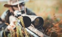 WWF Raises Alarm Over Illegal Hunting, Wildlife Abuse