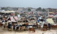 Bhatta Chowk Market Fees Trigger Public Outrage