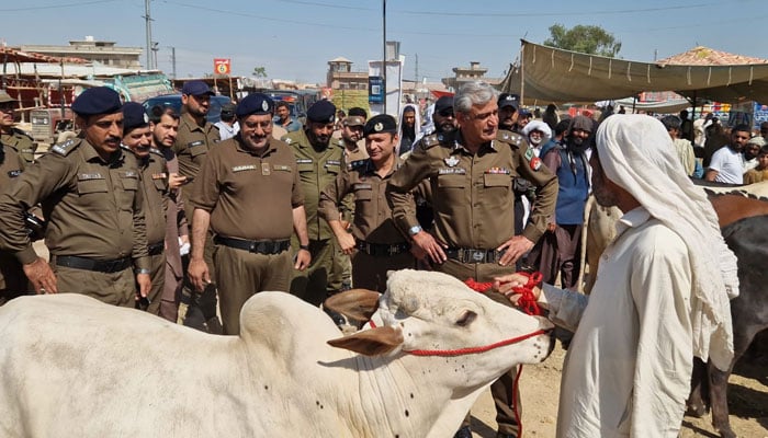 Regional Police Officer (RPO) Babar Sarfraz Alpa (2nd right) and City Police Officer (CPO) Syed Khalid Mehmood Hamdani (3rd right) visit a cattle market on May 25, 2026. — Facebook@RpoRwp