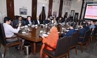 Over 85,000 People Bitten By Stray Dogs In Sindh This Year So Far, CM Told