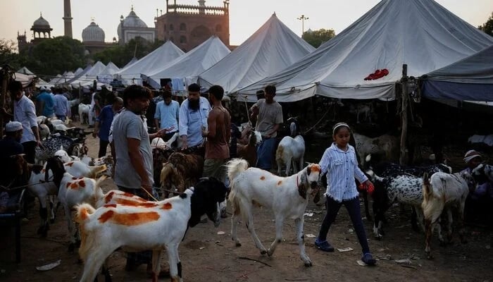 A girl walks with a goat after buying it at a livestock market ahead of the Eid ul Adha festival in the old quarters of Delhi, India, July 6, 2022. — Reuters