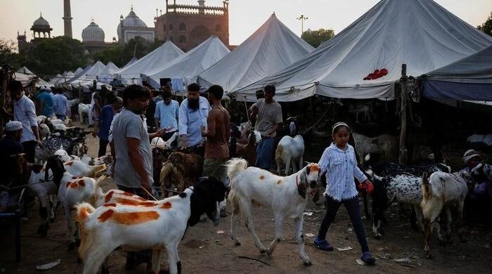India bans cow, calf sacrifice, road blockades for Eidul Azha prayers