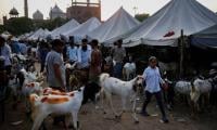 India Bans Cow, Calf Sacrifice, Road Blockades For Eidul Azha Prayers