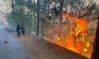 Wildfires Continue To Ravage Malakand Forests For 2nd Day