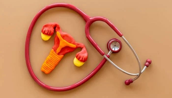 This is a representational image of a rubber model of the uterus and ovaries, accompanied by a stethoscope. — Facebook@lafemmehealthcare/File