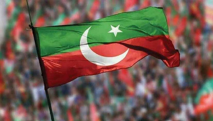 Representational image of the PTI flag. —TheNews/File