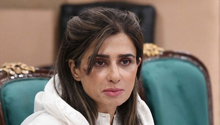 The Standing Committee of National Assembly on Foreign Affairs chairperson Ms Hina Rabbani Khar chairing a meeting. —APP/File