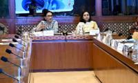 Senate committee raises alarm over telecom theft