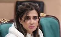 NA Panel Calls For Promoting Legal Migration Channels