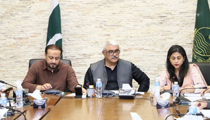 Provincial Health Ministers Khawaja Salman Rafique and Khawaja Imran Nazir chair a meeting to review the dengue situation across Punjab on June 2, 2026. — Facebook@SalmanRafiquePK