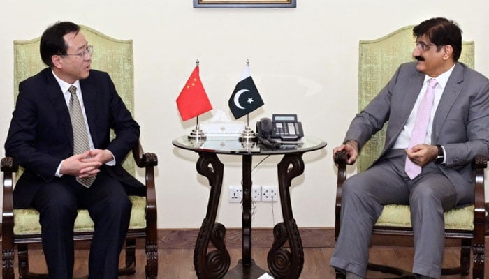 Sindh Chief Minister Syed Murad Ali Shah meets with Chinese Consul General Mr Yang Yundong at CM House on June 2, 2026. — Facebook@SindhCMHouse