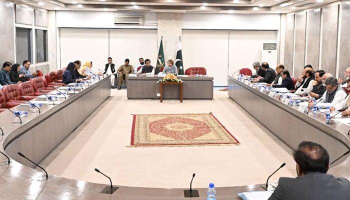 Acting Chairperson Mahtab Akbar Rashdi, MNA, presides over a meeting of the National Assembly Standing Committee on Federal Education and Professional Training at the Parliament House on June 3, 2026. — Facebook@NationalAssemblyOfPakistan