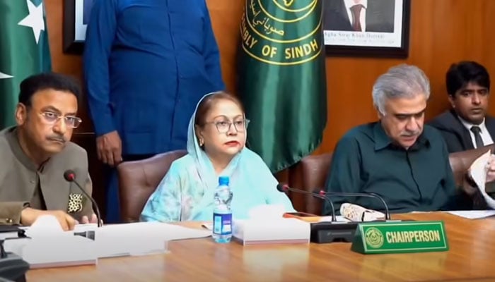 Sindh Assembly Standing Committee on Home Affairs Chairperson Faryal Talpur chairs a meeting on June 4, 2026. — Screengrab via Facebook@MPAFaryalTalpurpk