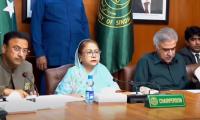Parents, Teachers And Institutions Must Unite Against Drugs Menace: Faryal