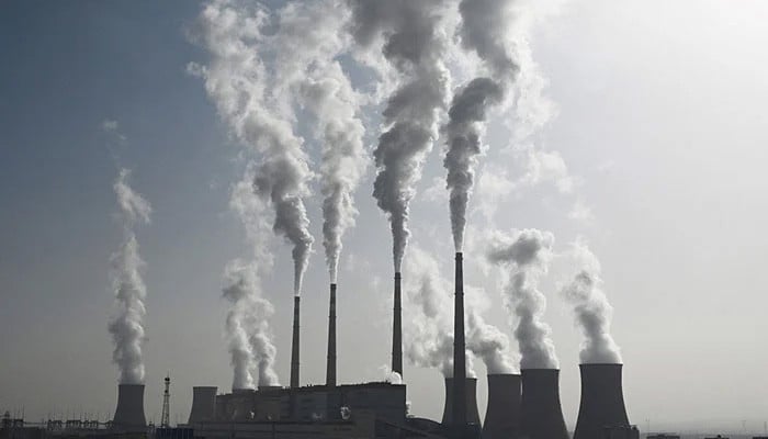 Carbon tax as climate dividend