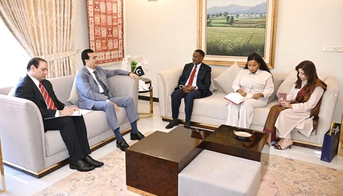 Ambassador of the Federal Democratic Republic of Ethiopia to Pakistan, Dr Oumer Hussein Oba (centre), in a meeting with Chairman of the Senate Syed Yusuf Raza Gilani (centre left), at his residence on June 5, 2026. — APP