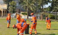 RWMC Marks Environment Day