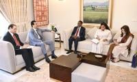Gilani, Ethiopian Envoy Discuss Parliamentarian Cooperation