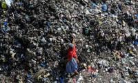 Environmentalists Urge Action For Greener Future
