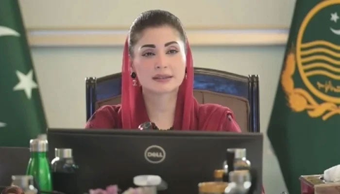 Punjab Chief Minister Maryam Nawaz addressing a meeting of provincial ministers and secretaries on November 24, 2025. — Facebook@TheMaryamNSharif/Screengrab