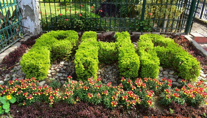 Parks and Horticulture Authority can be seen written in acronyms shaped with the help of trimming the plants in this picture released on August 14, 2023. — Facebook@Parks and Horticulture Authority Rawalpindi