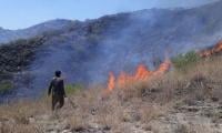 Arrangements Reviewed To Tackle Forest Fires In Dir