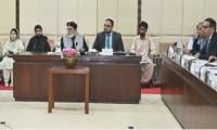 Senate Defence Panel Passes Bill Enabling PIA Privatisation